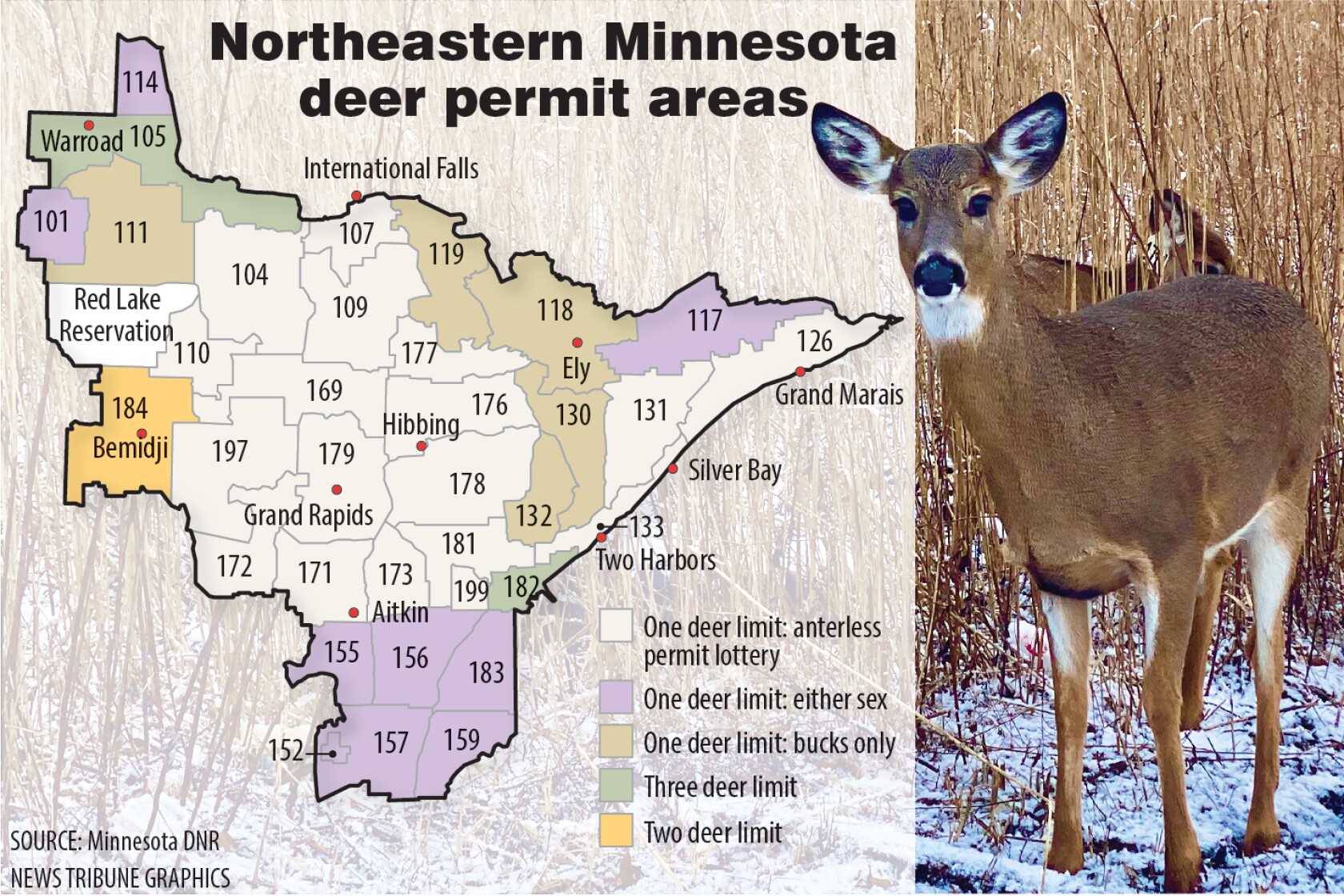 Mn Deer Map 2025